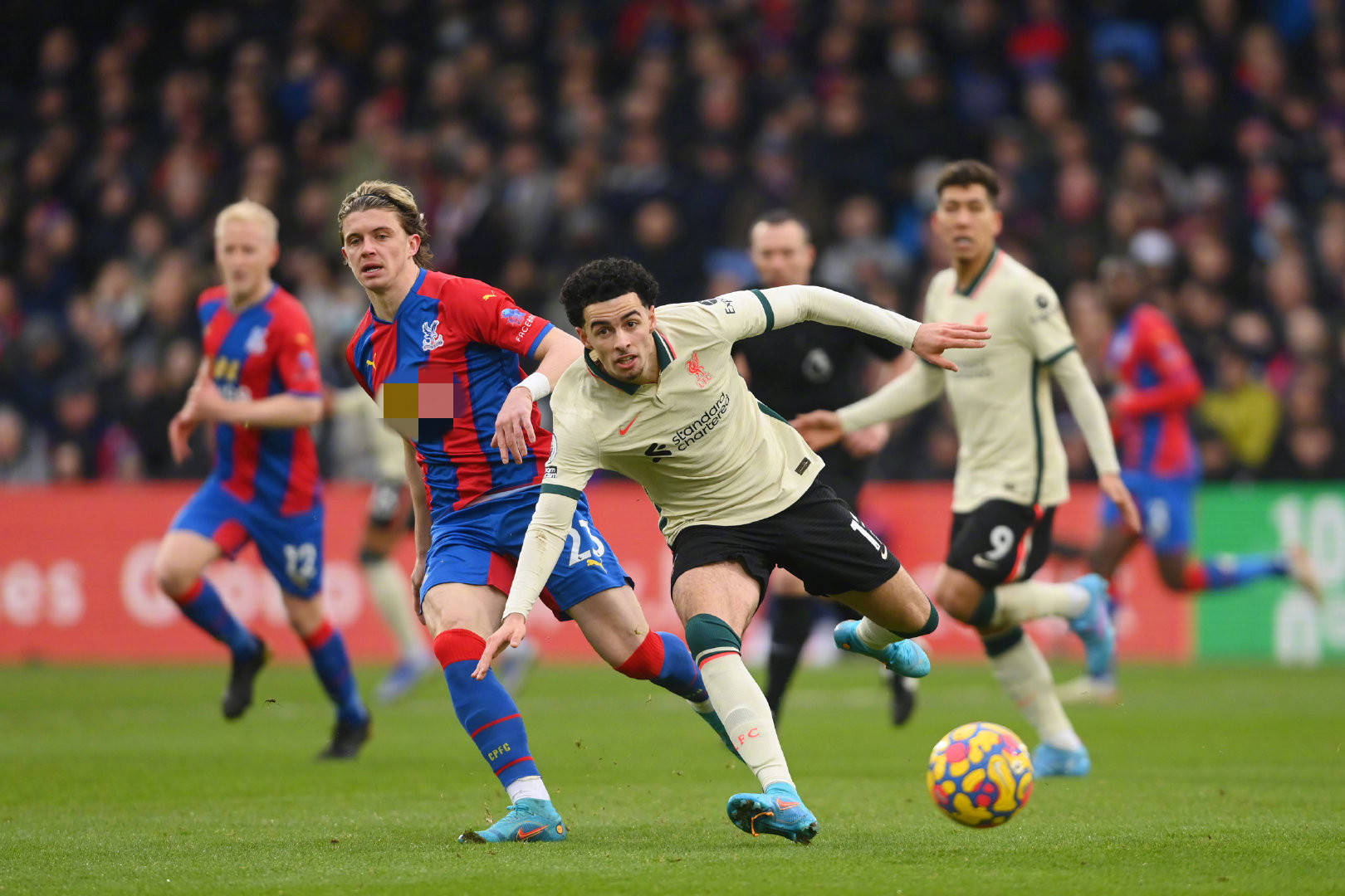 为球迷奉献 为球迷奉献